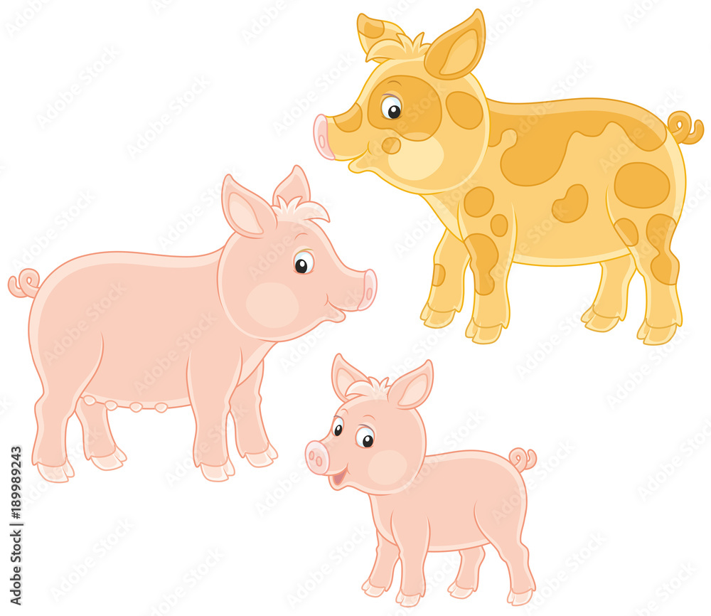 Small pink piglet, funny pig and hog Small pink piglet, funny pig and hog