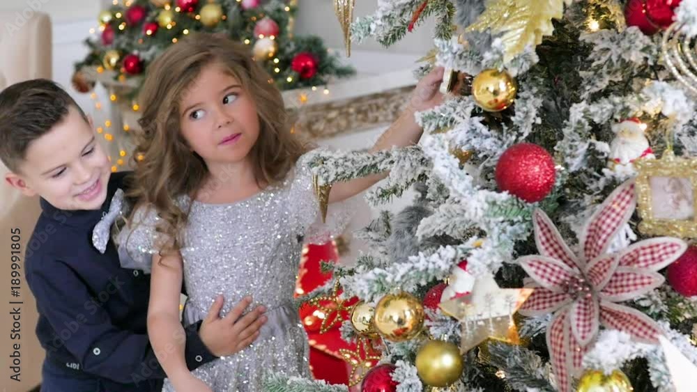 children dressed in elegant clothes adorn a tree of roses. festive mood children dressed in elegant clothes adorn a tree of roses. festive mood