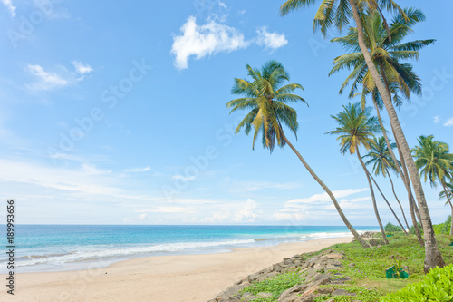 Fototapeta Naklejka Na Ścianę i Meble -  Balapitiya Beach, Sri Lanka - Calming down at the deserted beach of Balapitiya