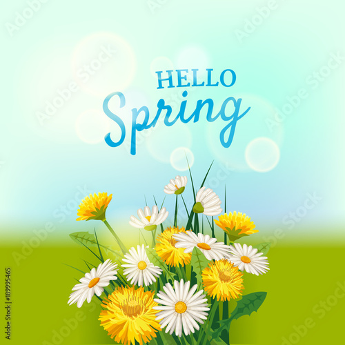 Hello spring, a bouquet of daisies flowers dandelions, on a green background, cartoon style, vector, illustration, flyer, banner, isolated