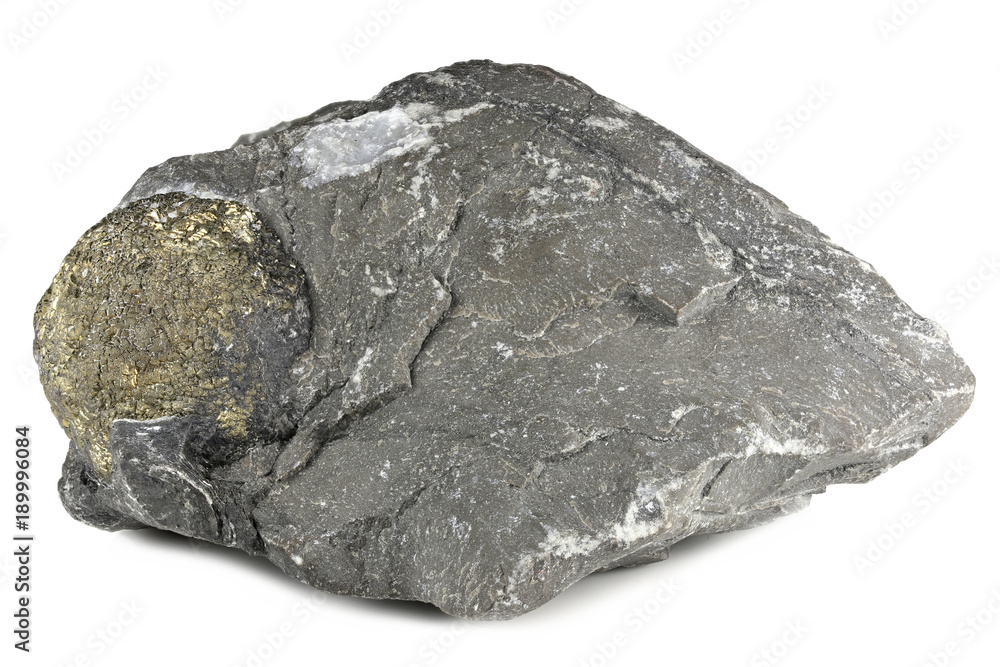 pyrite ball in matrix from Hohenems/ Austria isolated on white background pyrite ball in matrix from Hohenems/ Austria isolated on white background