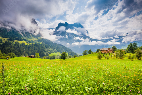 Alpine scenery with green meadows and traditional mountain chalet in Grindelwald, Switzerland