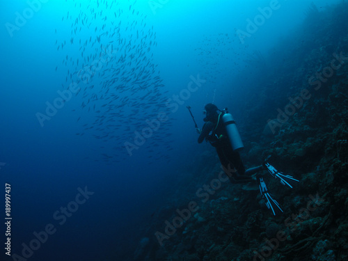 Bonaire scuba diving  © cocomat95