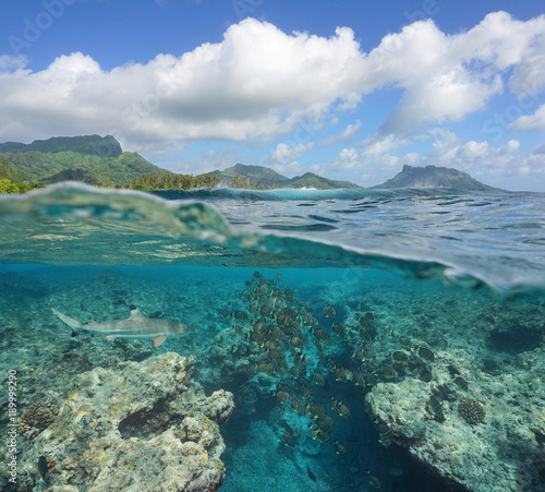 Pacific ocean seascape off the coast of Huahine island in French Polynesia, a school of fish with a shark underwater on the outer reef, natural scene, split view over and under water surface