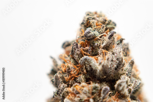 Bild auf Leinwand Cannabis Flower Macro - Strain: Purple Kool Aid