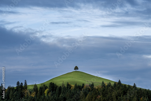 Lindenhügel im Emmental