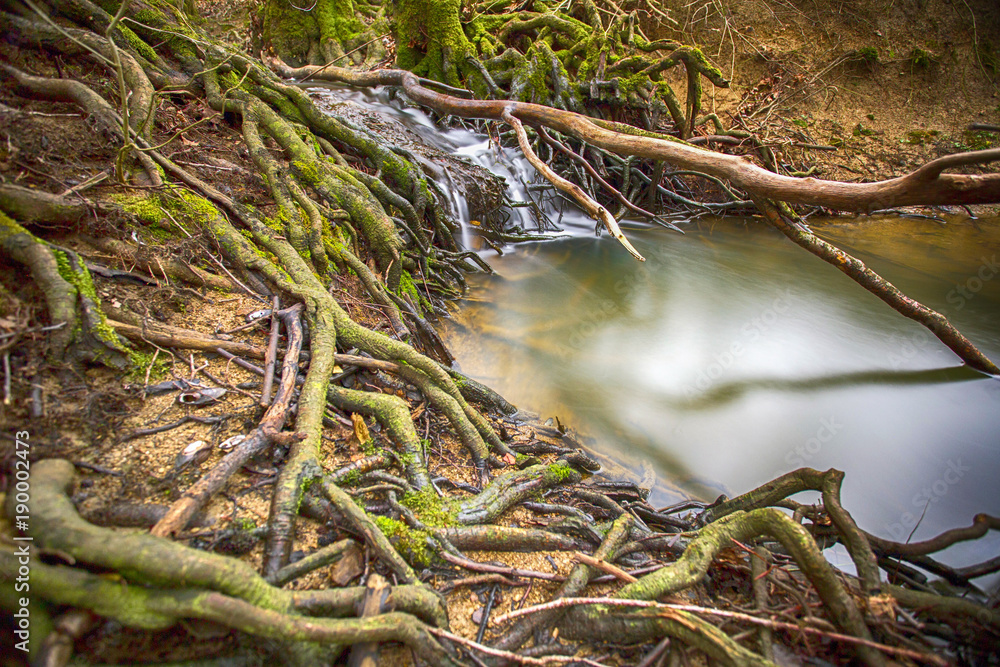 Creek in forest near Siljakovina, Croatia Creek in forest near Siljakovina, Croatia