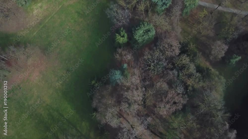 forest aerial view 4k drone shot
forest aerial view 4k drone shot