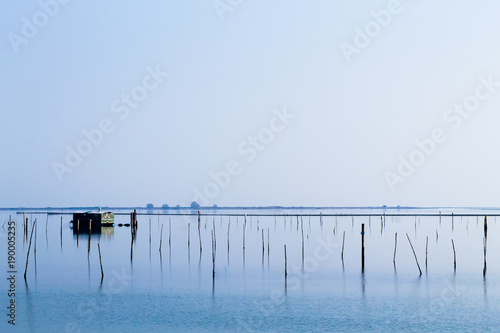Shellfish farming from Po river lagoon, Italy photo
