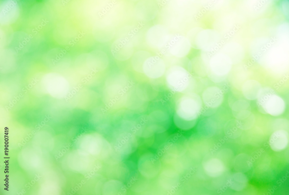 green bokeh green bokeh