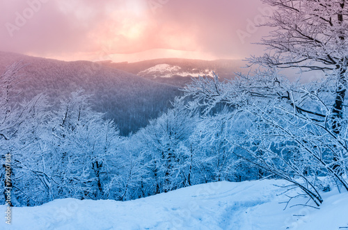 Fototapeta Naklejka Na Ścianę i Meble -  Winter mountains panorama in snow, sunset, Bieszczady, Poland