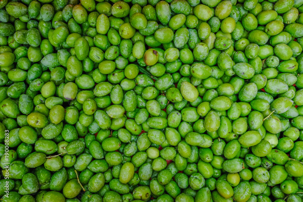 Green olives, fresh and raw.