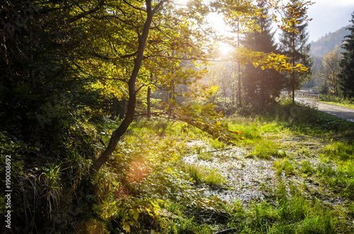 Fototapeta Naklejka Na Ścianę i Meble -  Bieszczady