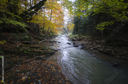 Fototapeta Naklejka Na Ścianę i Meble -  Bieszczady