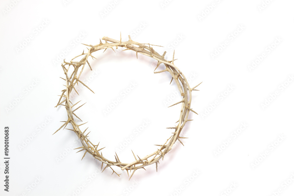 Fototapeta premium Easter Crown of Thorns isolated on a white background