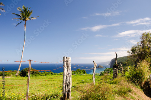 End of the road Hawi, Hawaii Big Island over looking Pololu Valley photo