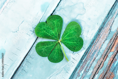 St. Patrick's Day symbol. Lucky shamrock
