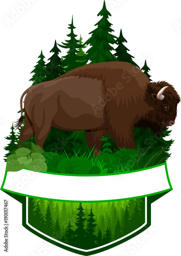 vector woodland emblem with brown zubr buffalo bison