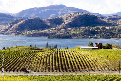 Okanagan Falls Skaha Lake Vineyard photo