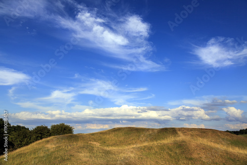 Meadow and blue sky with clouds
