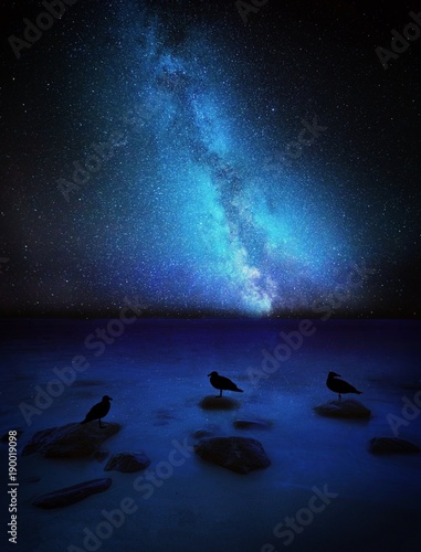 Night sky with milky way over sea shore with rocks and resting birds