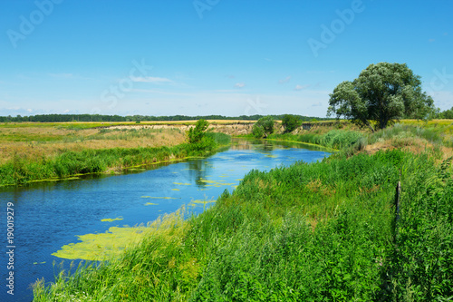 Ukrainian summer landscape