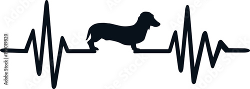 Dog heartbeat line with dachshund