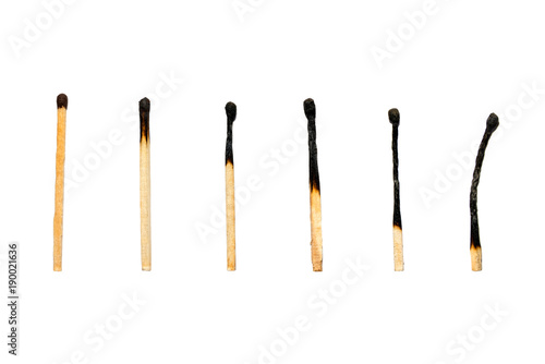 Set of eight burnt wooden matches arranged in ascending order isolated on white background