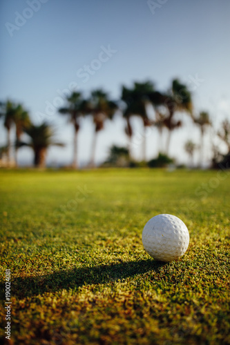 golf ball on green grass, palm trees on background