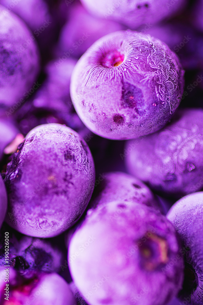 Fototapeta Vibrant Frozen Blueberries w modnym kolorze Ultra Violet z pięknym wzorem Frost i tekstury. Tło żywności letniej dla blogów Plakaty Media społecznościowe. Elegancki stylowy obraz. Selektywna ostrość
