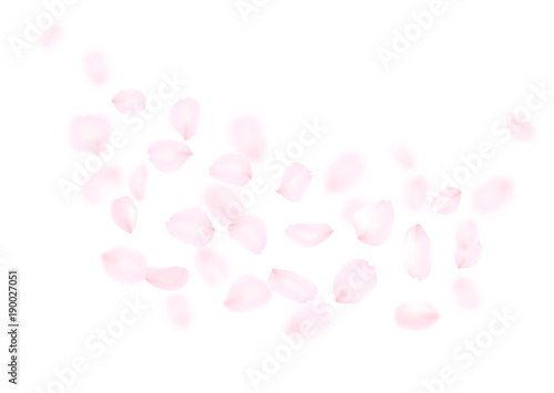花びら　ピンク　桜　バラ