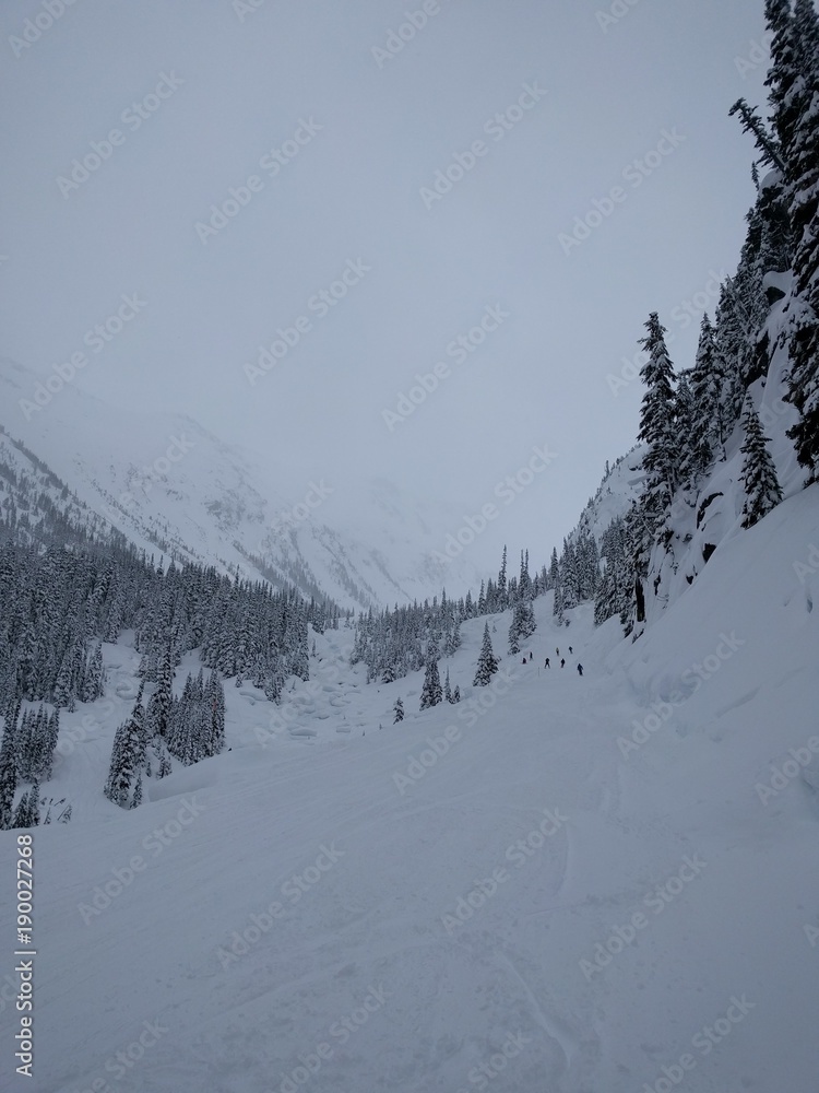 Obraz premium Snowy valley with alpine trees