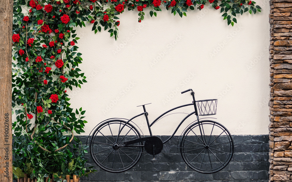 Retro Bicycle and red rose trees with white wall, vintage mode.