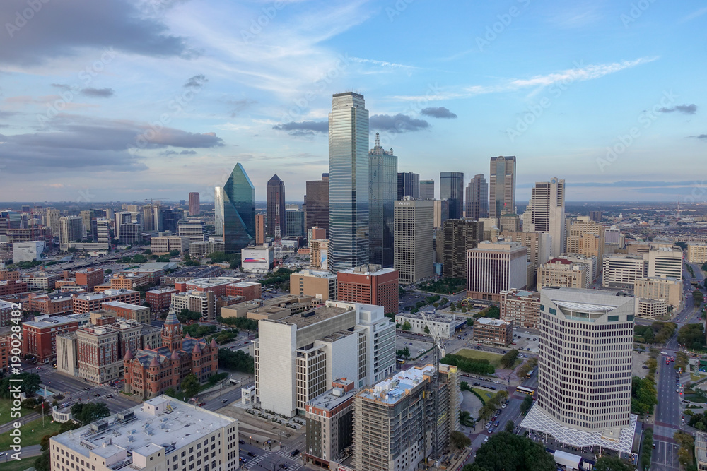 Obraz premium Reunion Tower View