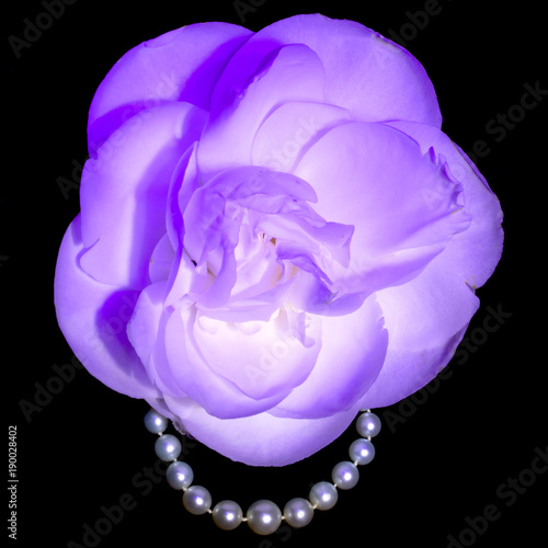 Flowers and paperweights
