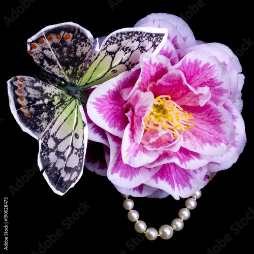 Flowers and paperweights