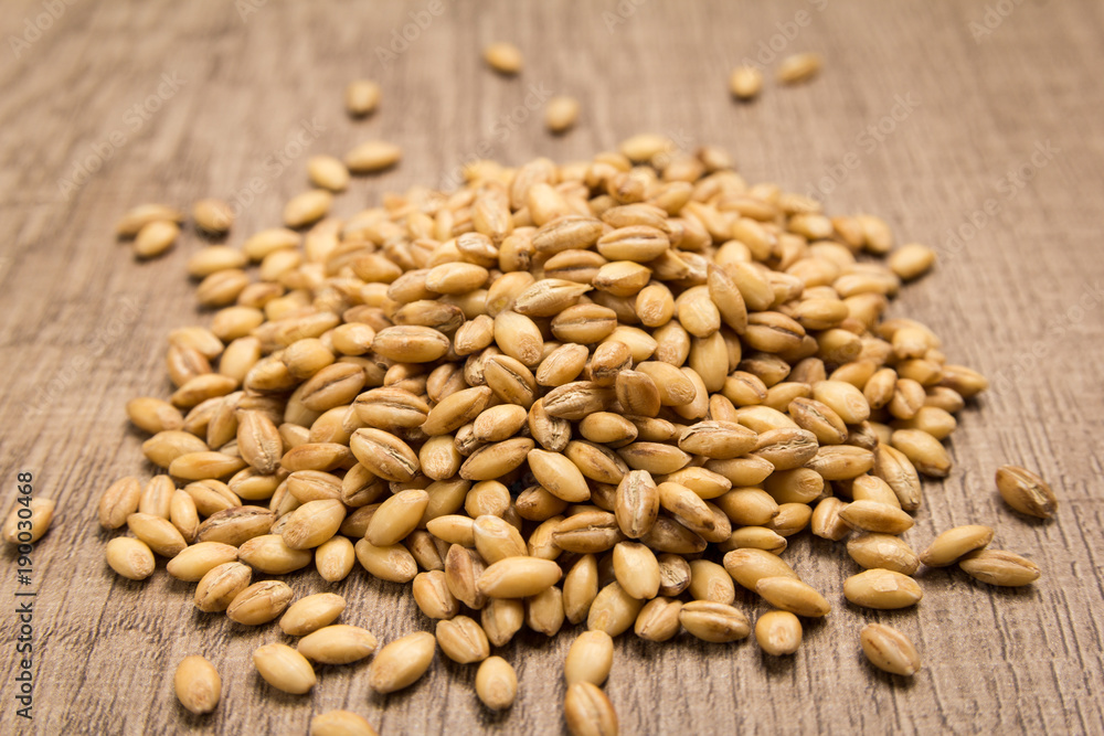 Barley cereal grain. Pile of grains on the wooden table. Selective focus. Barley cereal grain. Pile of grains on the wooden table. Selective focus.