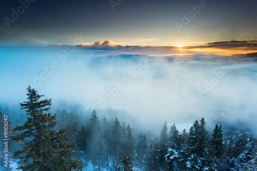 Beautiful fog over forest in mountin with sunrise in background © danmir12