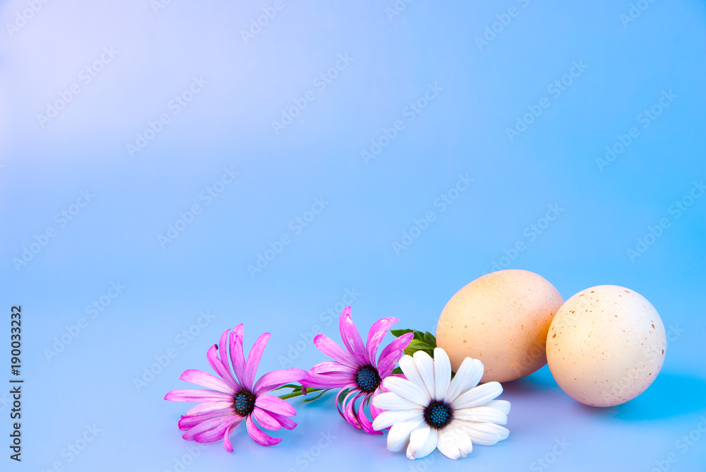 2 eggs with flowers, Easter concept. Punchy pastels. 2 eggs with flowers, Easter concept. Punchy pastels.