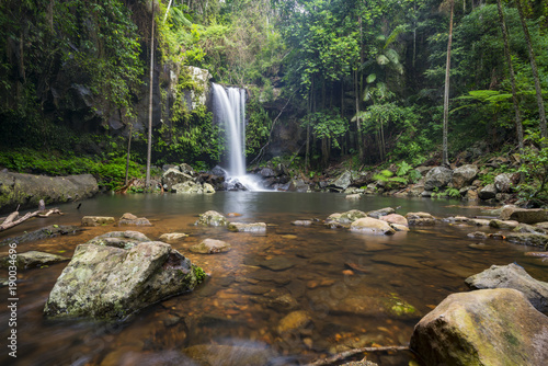 Curtis Falls is a popular tourist destination on Mount Tamborine in the Gold Coast hinterland  Queensland  Australia.