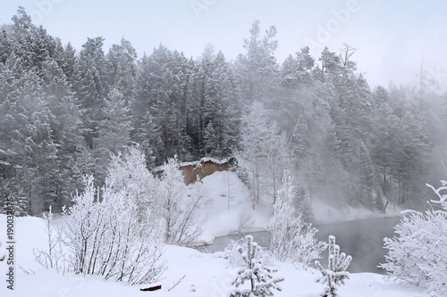 Winter Landscape in the Forest