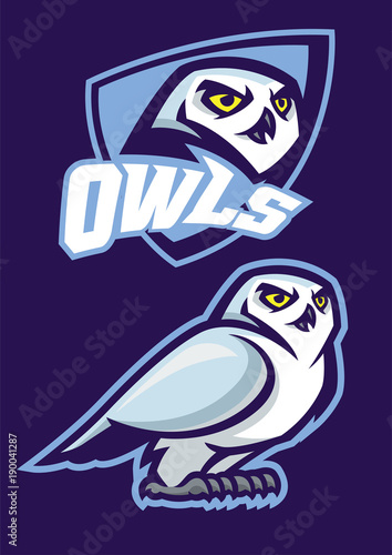 mascot of white owl with sport style