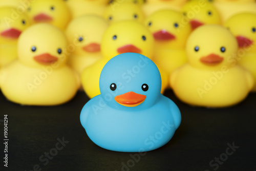 Foto Closeup of rubber duckies