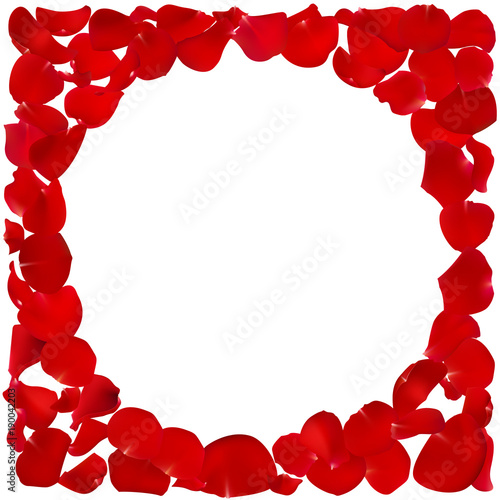 Fototapeta Naklejka Na Ścianę i Meble -  Invitation template with rose petals. Red floral frame vector illustration. Wedding decorations. Valentine s day.