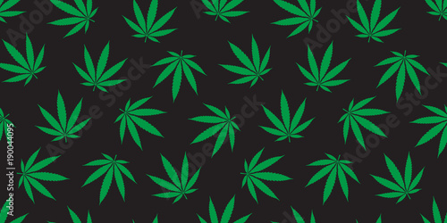 Weed seamless pattern Marijuana vector cannabis leaf wallpaper background isolated green