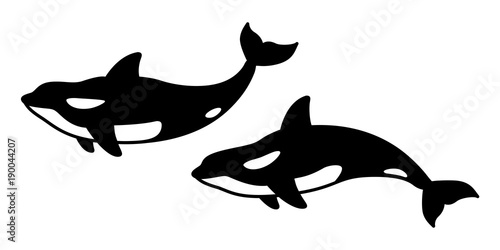 whale vector dolphin shark icon killer whale character illustration
