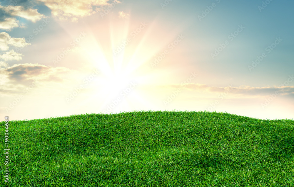 Image of green grass field and bright blue sky