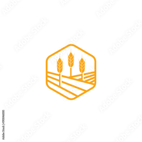 Golden wheat ears, agriculture vector element, organic bakery logo design