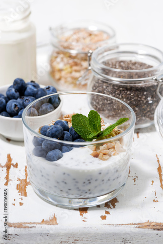 healthy breakfast with chia-pudding and fresh blueberries, vertical