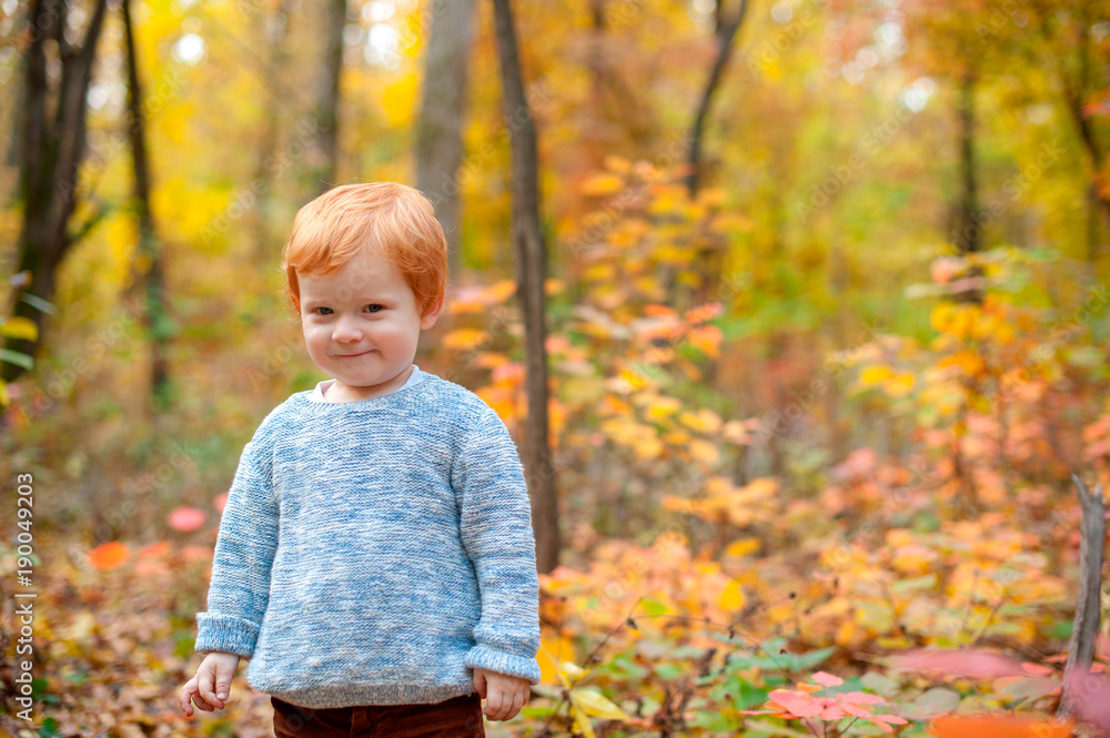 A cunning red-haired boy in the autumn woods A cunning red-haired boy in the autumn woods